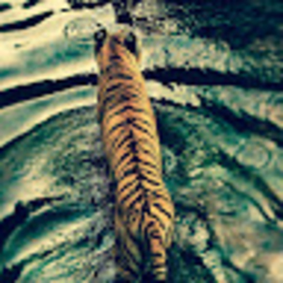 Meet your Posher, Audrey - Picture 1 of 1